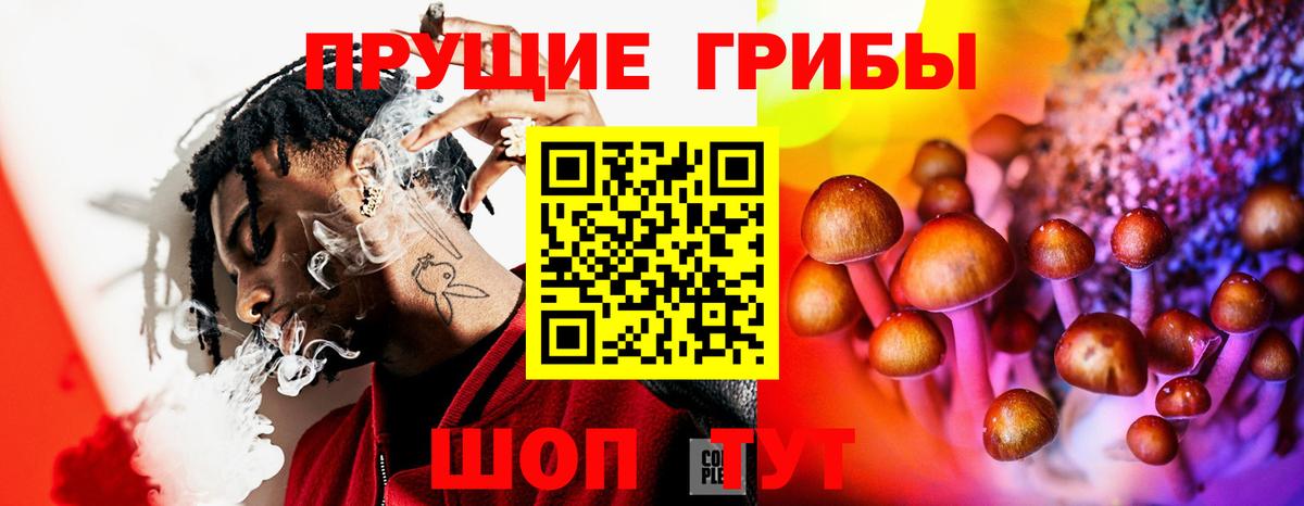 Псилоцибиновые грибы Cubensis  Вход с VPN  Псилоцибиновые грибы мицелий  Маркс 